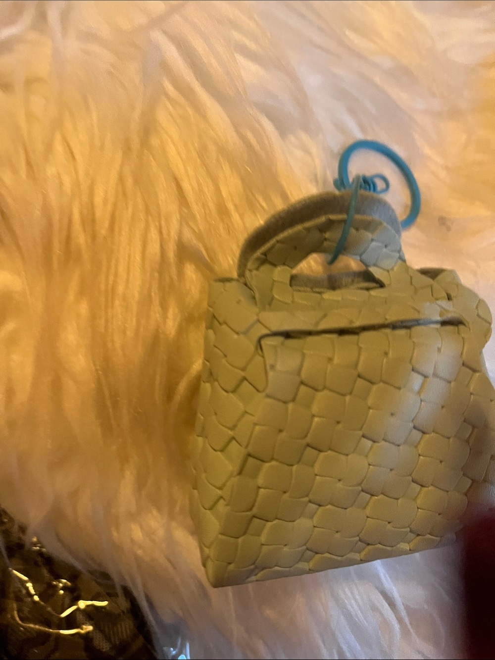 Woven Mini Backpack Handbag in Light Green